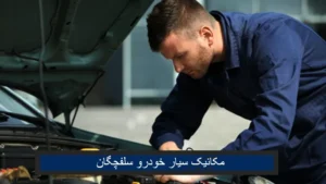 مکانیک سیار خودرو در سلفچگان
